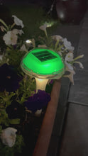 Cargar y reproducir el video en el visor de la galería, BigM RGB Color Changing Solar Mushroom Lights Glows so beautifully make your garden unique and colourful 
