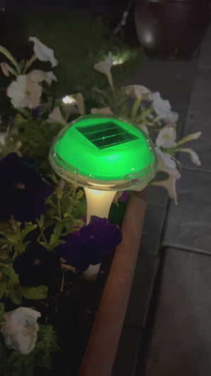 BigM RGB Color Changing Solar Mushroom Lights Glows so beautifully make your garden unique and colourful 