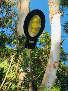 BigM Heavy Duty 500W Solar Flood Light installed by a customer on a tree about 25 ft above the ground