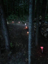 Charger l&#39;image dans la galerie, BigM RGB Color Changing Solar Mushroom Lights are glowing in a off-grid island resort at Tobermory, Canada
