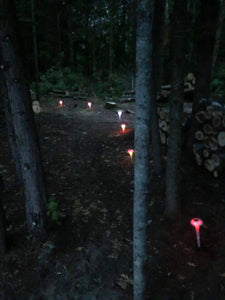 BigM RGB Color Changing Solar Mushroom Lights are glowing in a off-grid island resort at Tobermory, Canada
