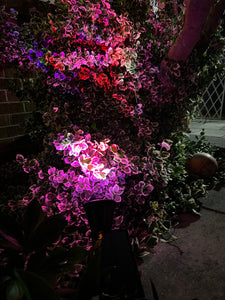 BigM Wireless RGB Color Changing Solar Spotlights flight up the garden at night