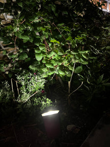 BigM 20 LED Cool White Wireless Solar Spotlights are perfect to light up plants, stones, house numbers at night