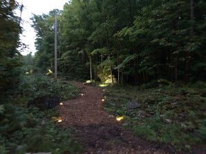 BigM Cool White LED Solar Landscaping Lights add elegant look at the both side of the pathways