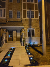 Load image into Gallery viewer, BigM Cool White LED Solar Landscaping Lights are perrfect for a walkways of a house
