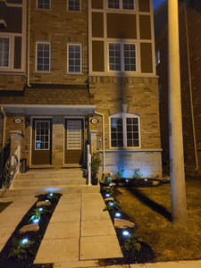 BigM Cool White LED Solar Landscaping Lights are perrfect for a walkways of a house