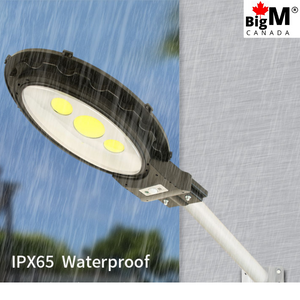 BigM Heavy Duty 500W Solar Flood Light With Motion Sensor is IP65 waterproof, can survive through Canadian winter weather