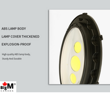 Cargar imagen en el visor de la galería, BigM Heavy Duty 500W Solar Flood Light With Motion Sensor Comes with high efficient bright  LED COB Beads
