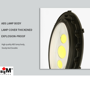 BigM Heavy Duty 500W Solar Flood Light With Motion Sensor Comes with high efficient bright  LED COB Beads