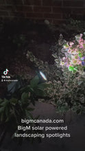 Cargar y reproducir el video en el visor de la galería, BigM 20 LED Cool White Wireless Solar Spotlights for Landscape Gardens
