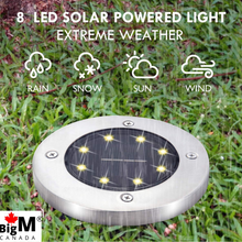 Load image into Gallery viewer, BigM Cool White LED Solar Landscaping Lights are waterproof, can survive through cold and snowy weather
