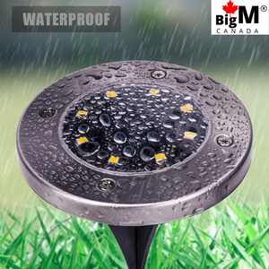 BigM Cool White LED Solar Landscaping Lights are IP65 graded waterproof,