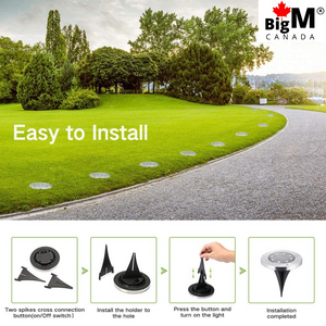 BigM Cool White LED Solar Landscaping Lights are perfect for a pathways