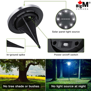 BigM Cool White LED Solar Landscaping Lights are installed in a garden lawn by the walk way