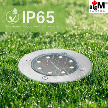 Cargar imagen en el visor de la galería, BigM Cool White LED Solar Landscaping Lights for Garden Lawn is Ip65 graded water proof
