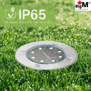 BigM Cool White LED Solar Landscaping Lights for Garden Lawn is Ip65 graded water proof