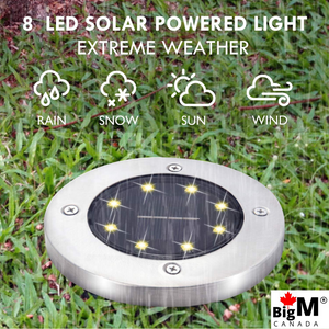 BigM Cool White LED Solar Landscaping Lights can survive through Canadian winter weather