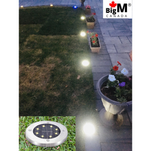 Load image into Gallery viewer, BigM Cool White LED Solar Landscaping Lights are installed in a lawn
