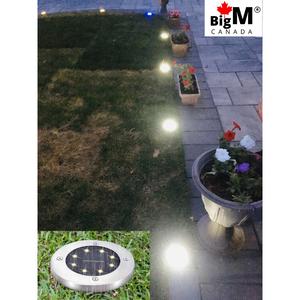 BigM Cool White LED Solar Landscaping Lights are installed in a lawn