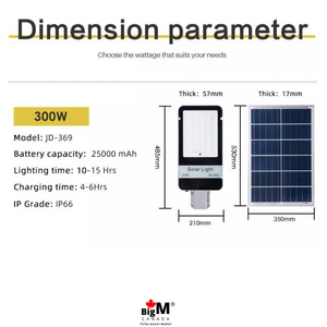 BigM 300W street light image with dimensions, product specifications