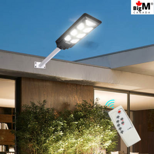 Image of BigM 700w solar led street light with a remote