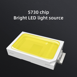 Image of bright led chips of  BigM commercial graded 600W Heavy Duty Solar Street Light