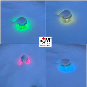 BigM RGB Color Changing Solar Mushroom Lights are glowing beautifully in different colors in the snow