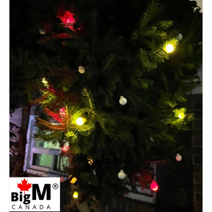 BigM 20 LED à énergie solaire pour Noël, vacances et fêtes, boules lumineuses colorées décoratives pour tonnelle, arbres de Noël et décoration extérieure