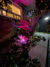 Charger l&#39;image dans la galerie, BigM Wireless RGB Color Changing Solar Spotlights creates a beautiful atmosphere in the garden at night
