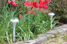 Load image into Gallery viewer, BigM RGB Color Changing Solar Mushroom Lights add beauty in a Garden
