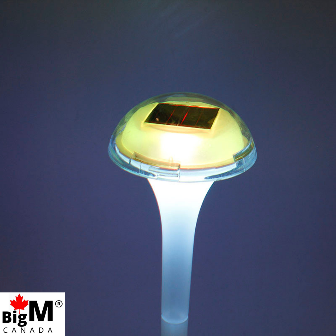 BigM RGB Color Changing Solar Mushroom Lights