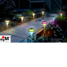 Load image into Gallery viewer, BigM color-changing solar mushroom lights add elegant looks, and colors to the landscape of your front yards, backyards, gardens, pathways, sidewalks of your house, cottages, business premises, parks, and playgrounds.
