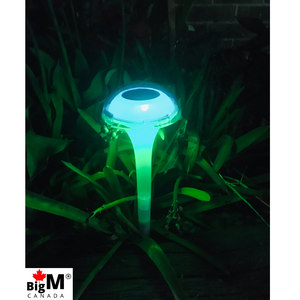 BigM RGB Color Changing Solar Mushroom Lights are glowing beautifully after dusk