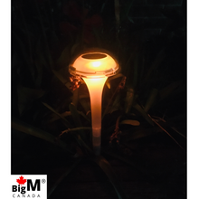 Load image into Gallery viewer, BigM RGB Color Changing Solar Mushroom Lights are glowing beautifully for all night
