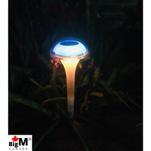 Cargar imagen en el visor de la galería, BigM RGB Color Changing Solar Mushroom Lights glow elegantly at night
