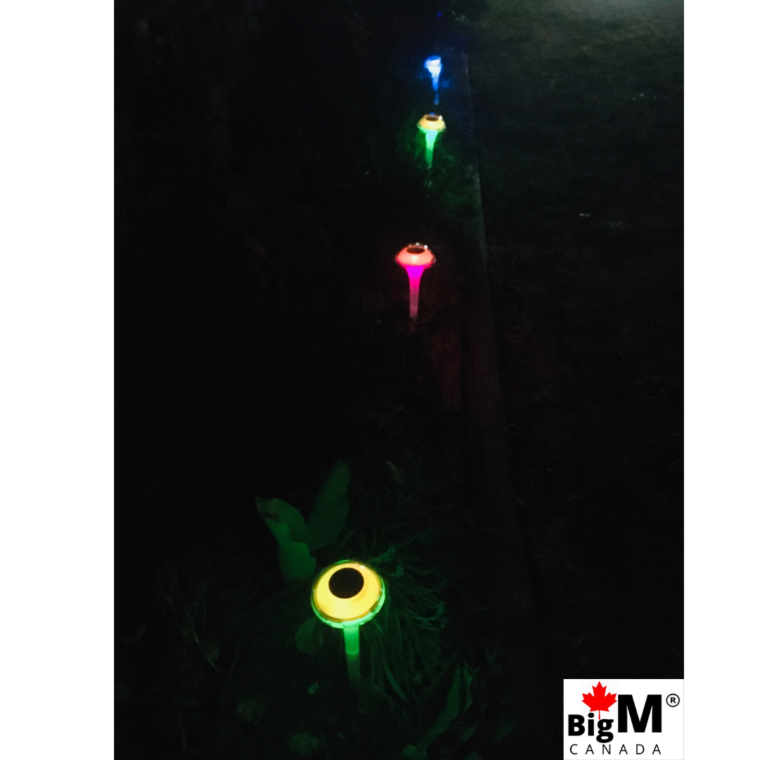 BigM RGB Color Changing Solar Mushroom Lights are glowing beautifully in a garden at night