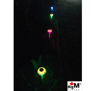 BigM RGB Color Changing Solar Mushroom Lights are glowing beautifully in a garden at night