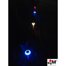 Load image into Gallery viewer, BigM RGB Color Changing Solar Mushroom Lights are changing to different colour at night
