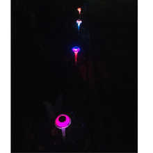 Load image into Gallery viewer, BigM RGB Color Changing Solar Mushroom Lights are changing colours constantly  at night
