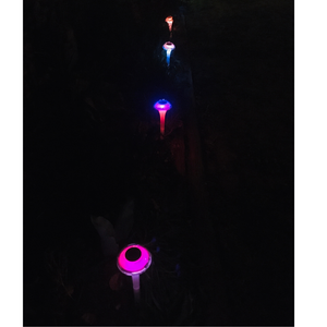BigM RGB Color Changing Solar Mushroom Lights are changing colours constantly  at night