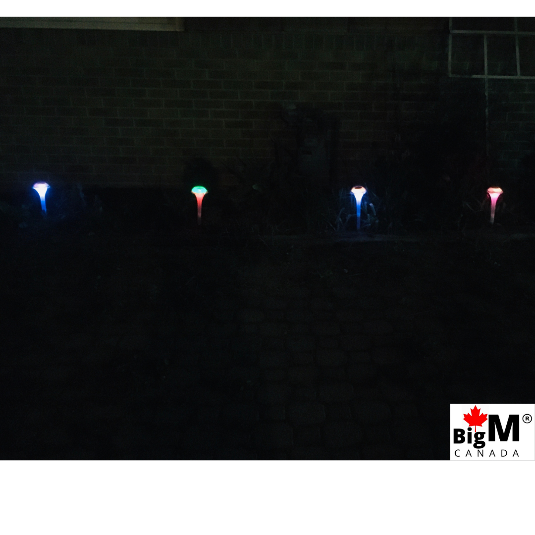 BigM RGB Color Changing Solar Mushroom Lights are glowing beautifully in dark