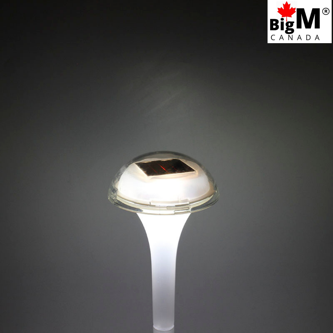 BigM RGB Color Changing Solar Mushroom Lights