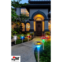 Load image into Gallery viewer, BigM RGB Color Changing Solar Mushroom Lights iglows beautifully at night
