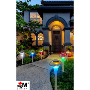 BigM RGB Color Changing Solar Mushroom Lights iglows beautifully at night