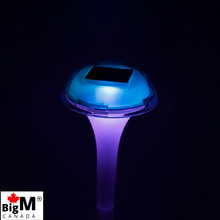 Charger l&#39;image dans la galerie, BigM RGB Color Changing Solar Mushroom Lights
