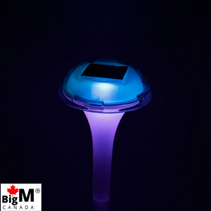 BigM RGB Color Changing Solar Mushroom Lights