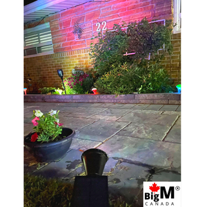 BigM Wireless RGB Color Changing Solar Spotlights light up the garden beautifully after dusk