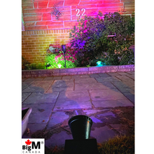 Load image into Gallery viewer, BigM Wireless RGB Color Changing Solar Spotlights add color i your garden
