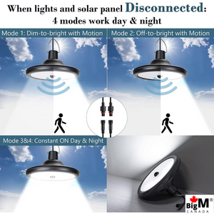 BigM Dual Headed 56 LED Bright Indoor Solar Lights work in motion sensor and constant light modes