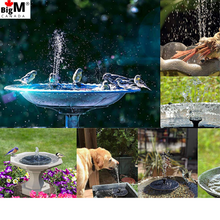 Load image into Gallery viewer, BigM Solar Floating Fountain attracts lots beautiful birds in the bird bath
